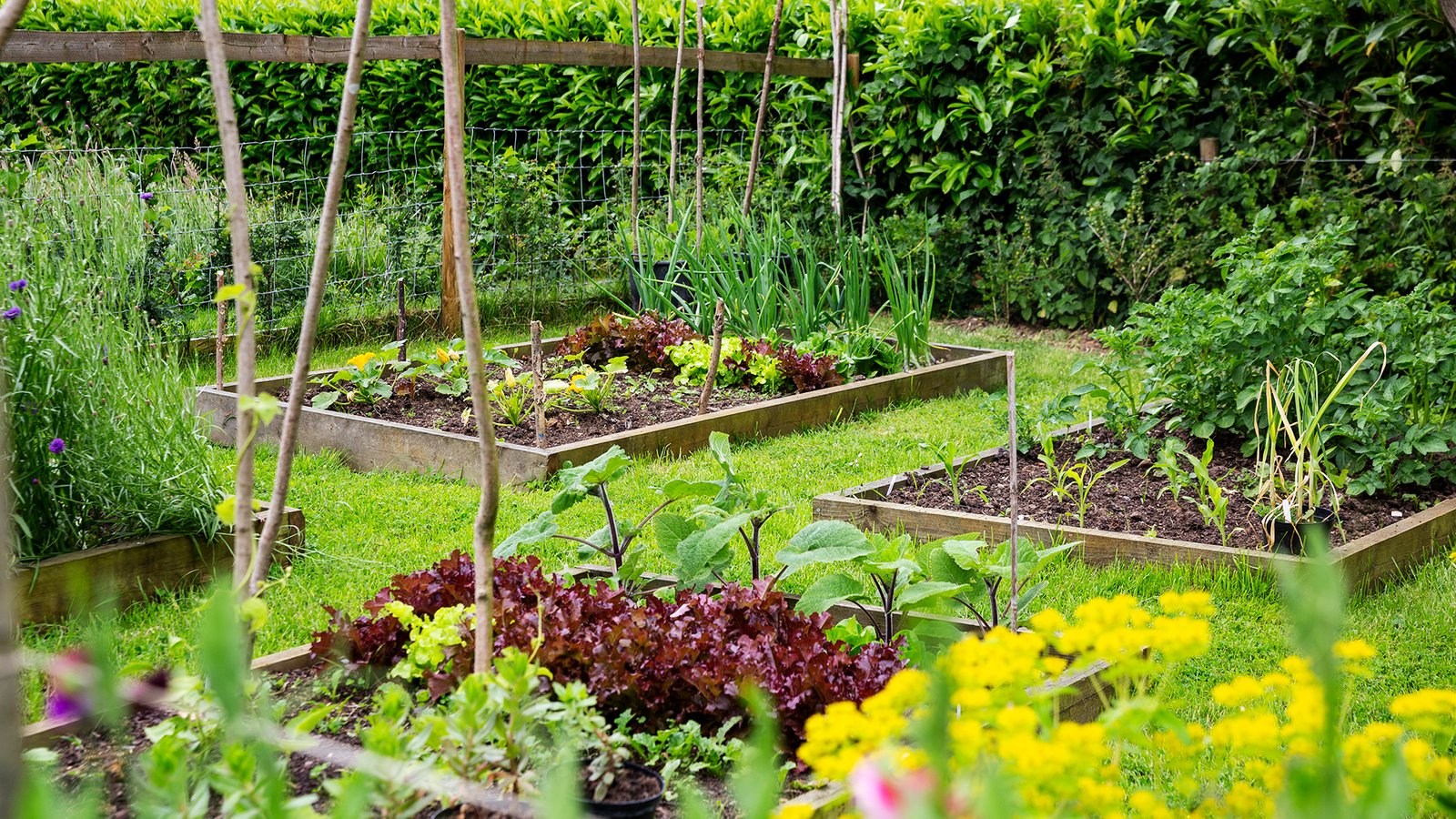 How to Build a Raised Garden Bed Step-by-Step