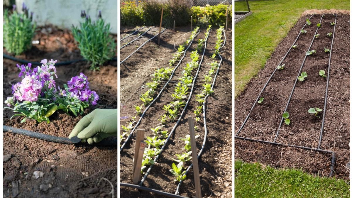 How to Install a Simple Garden Irrigation System