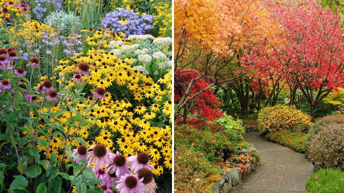 The Best Shrubs for Pollinators in Fall