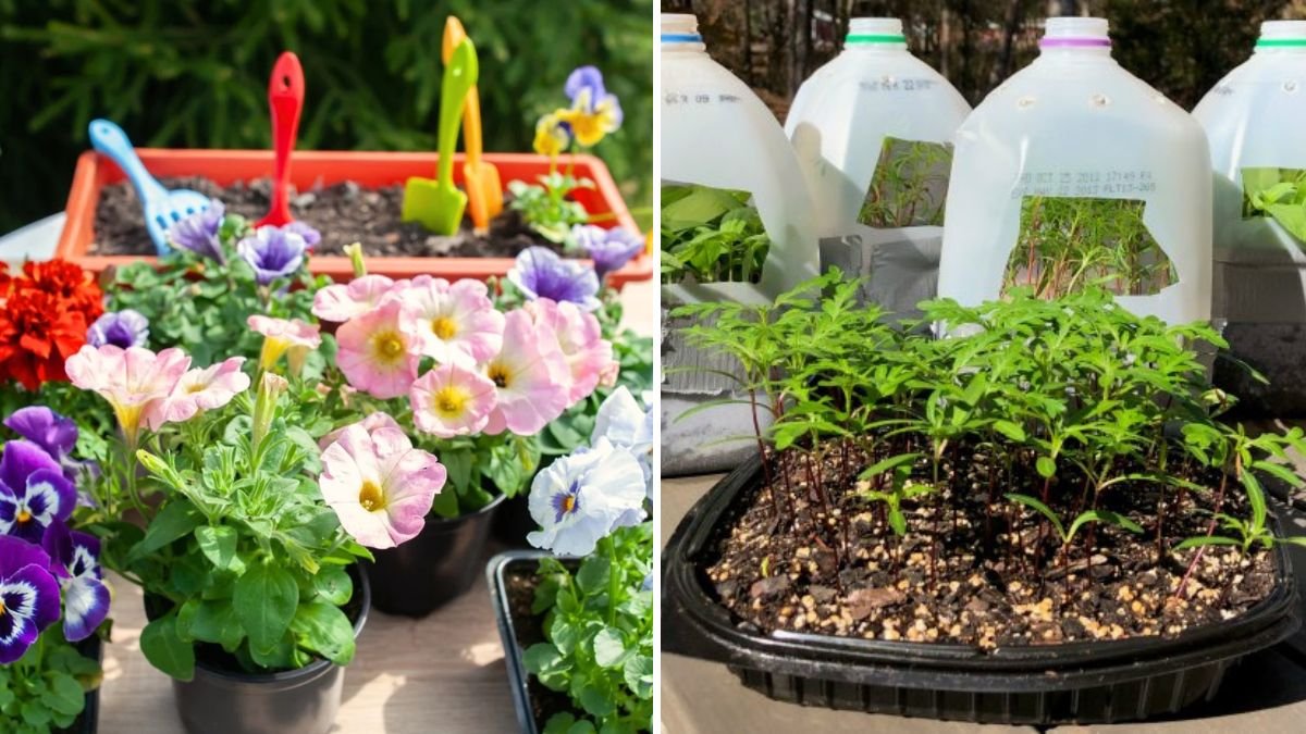 How To Fertilize Containers in Cooler Months