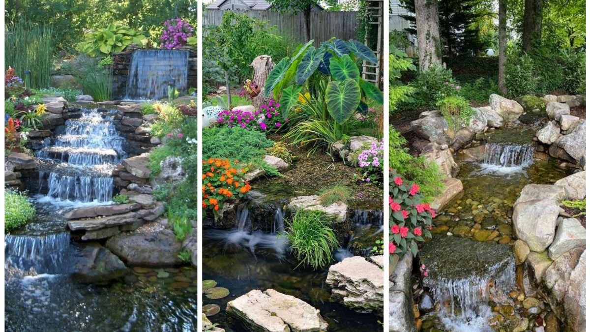 5 Inspiring Backyard Pond Designs