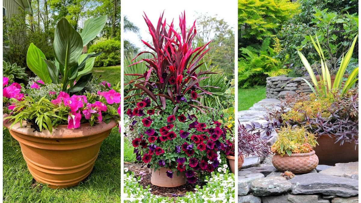 5 Creative Container Gardening Ideas for Beginners