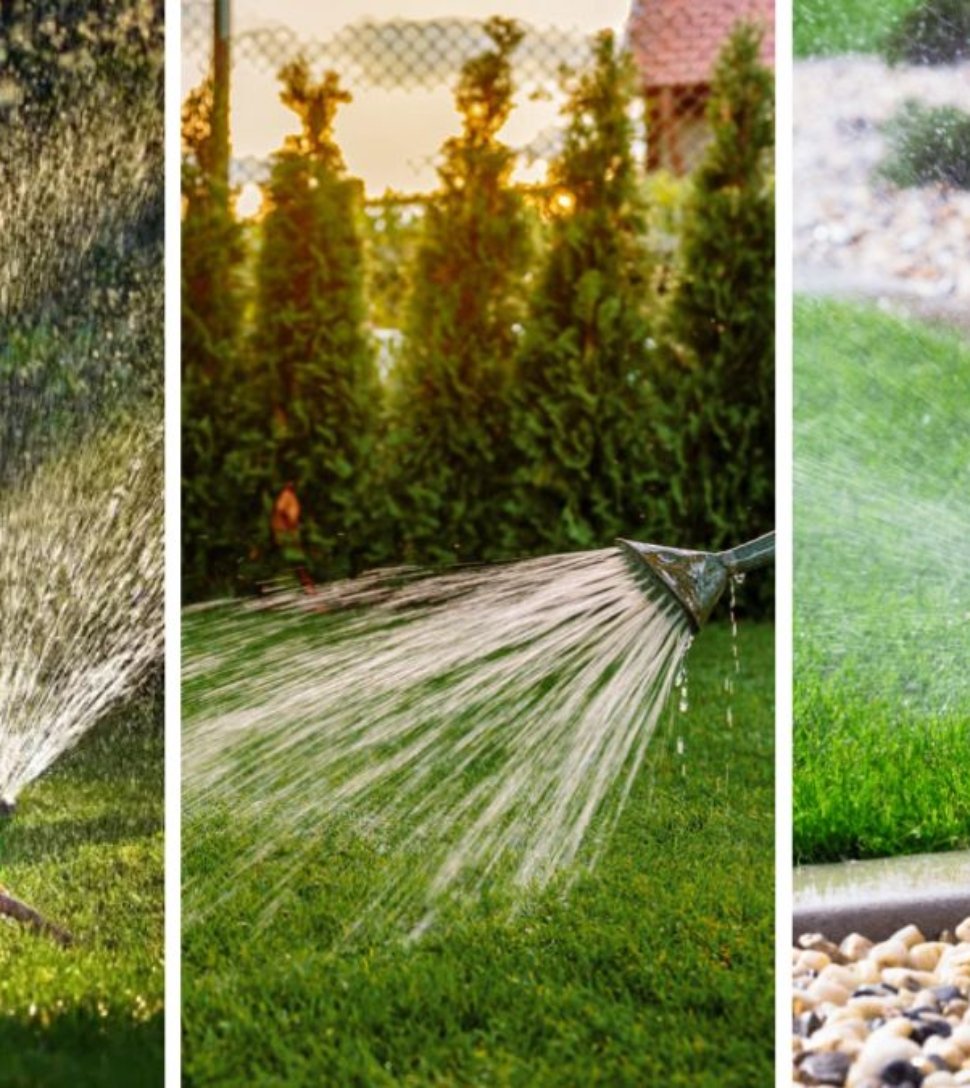 The Best Time To Water Grass For Strong Growth
