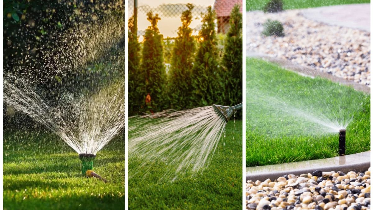 The Best Time To Water Grass For Strong Growth