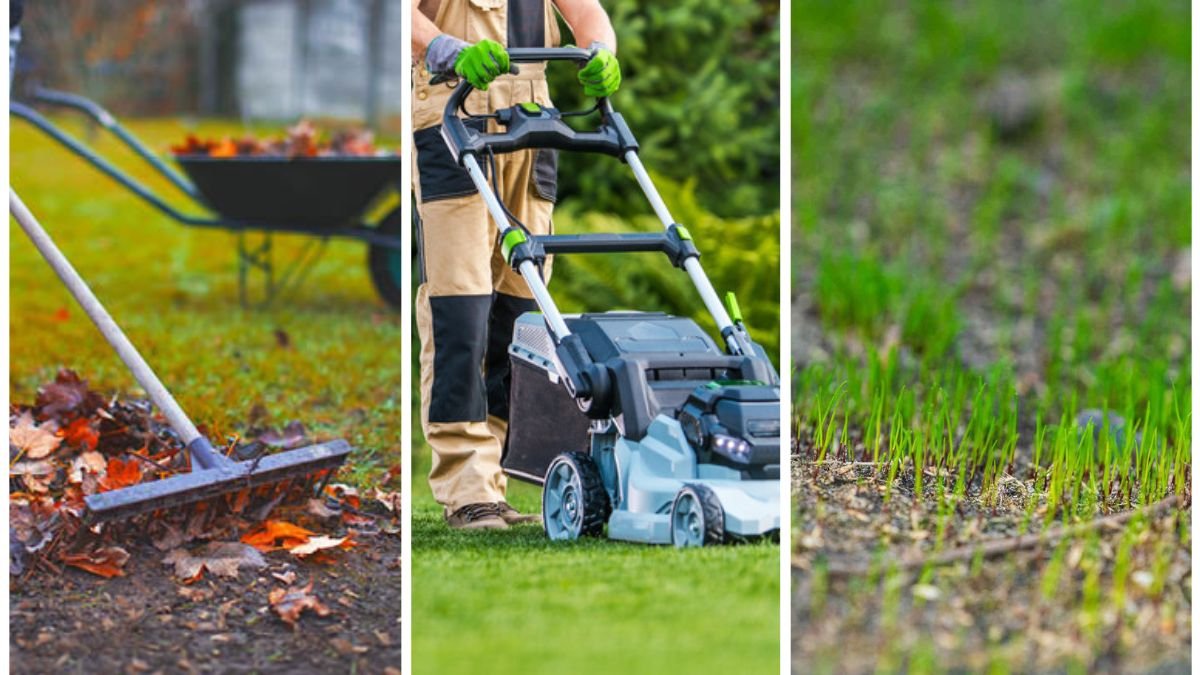 How To Prep Your Lawn For Winter Dormancy