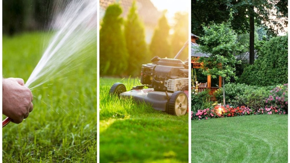 6 Easy Lawn Care Steps Every Homeowner Should Know
