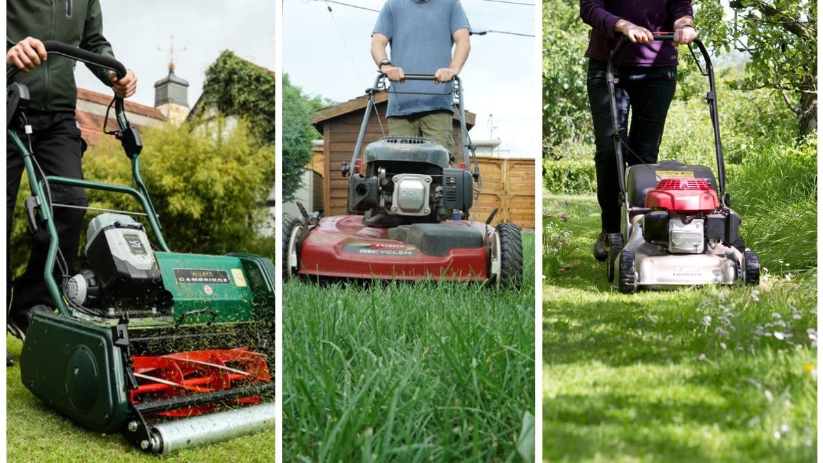 Why Mowing Height Matters More Than You Think