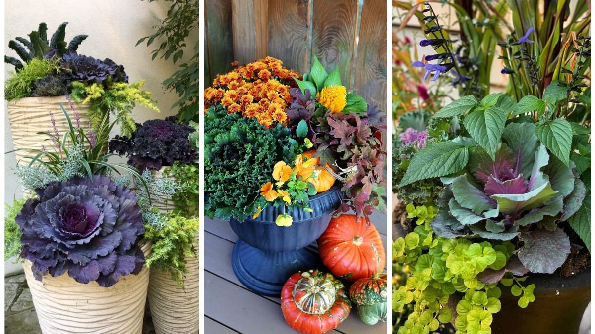How To Create A Stunning Fall Container Display
