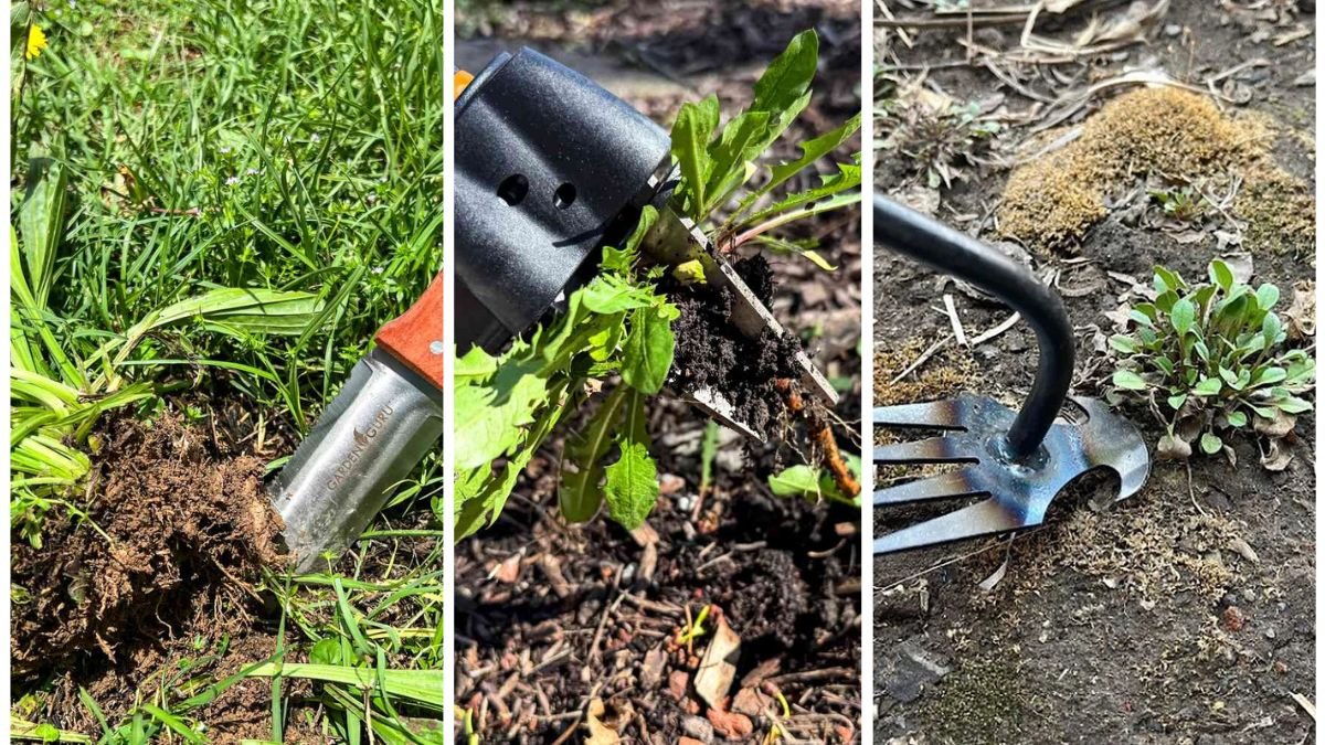 6 Tools That Make Weeding Much Easier