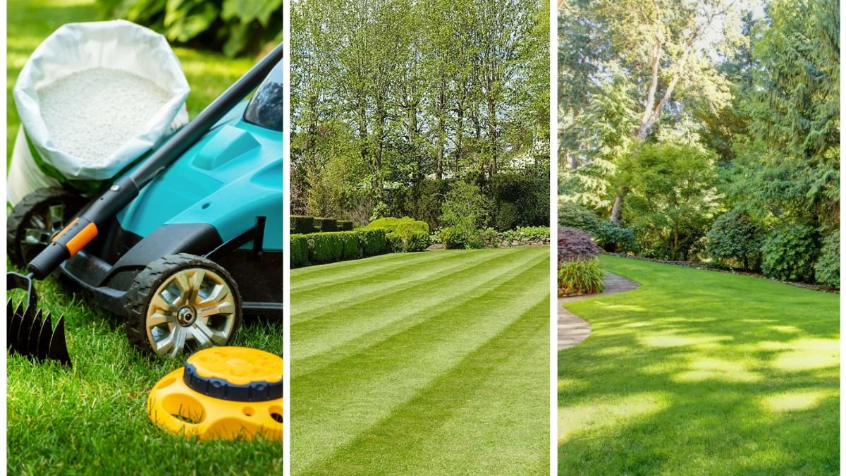 How To Keep Your Lawn Green Through October