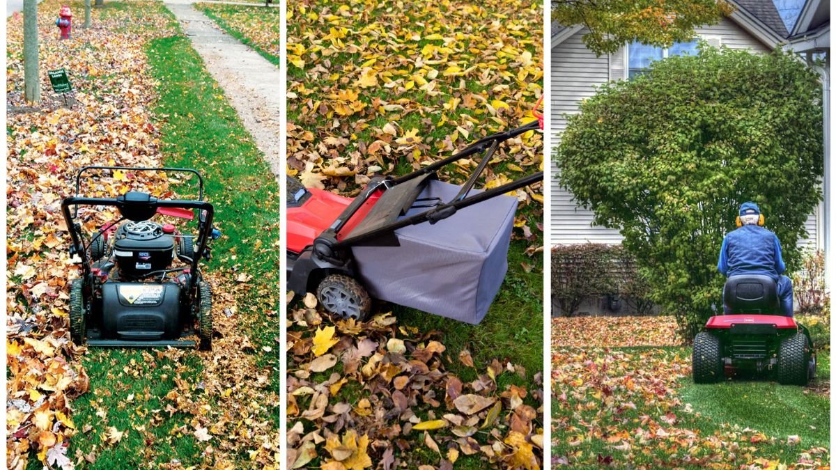 Should You Rake Leaves or Mulch Them Into the Lawn?