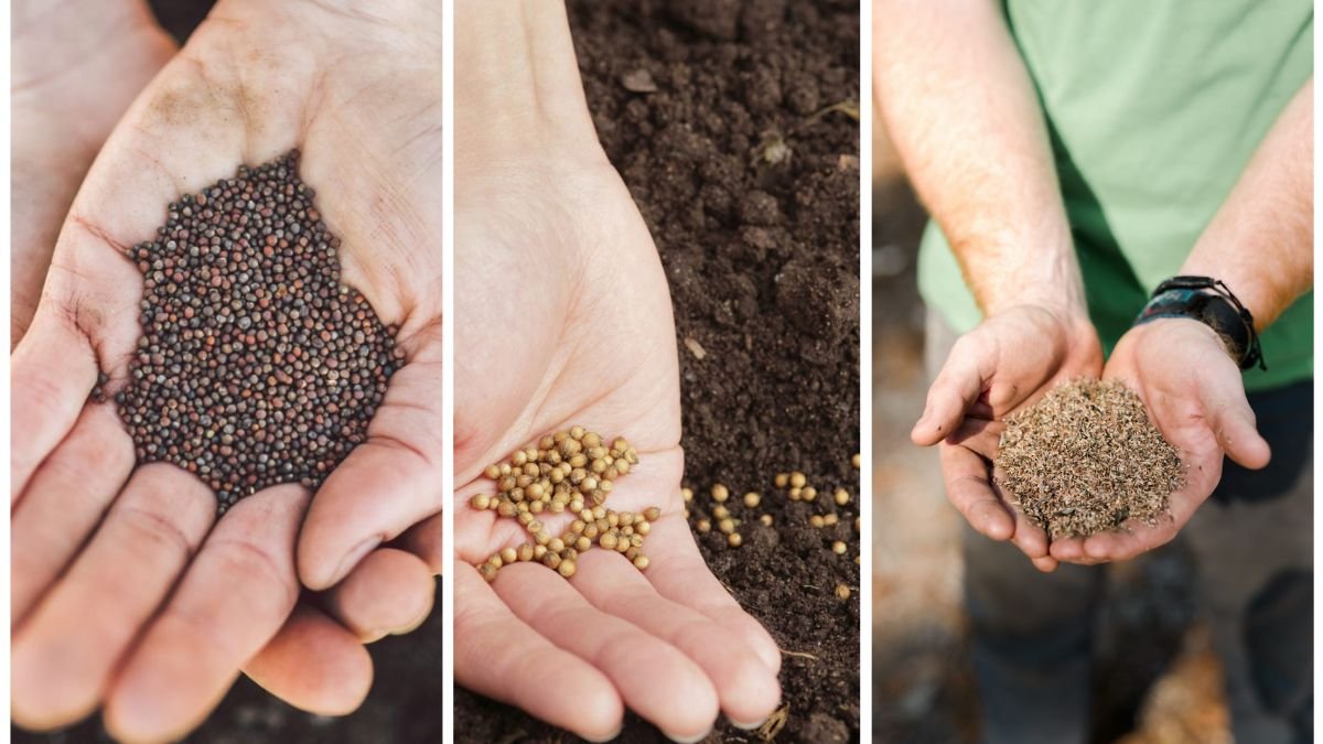 Why You Should Try Seed Swapping This Fall