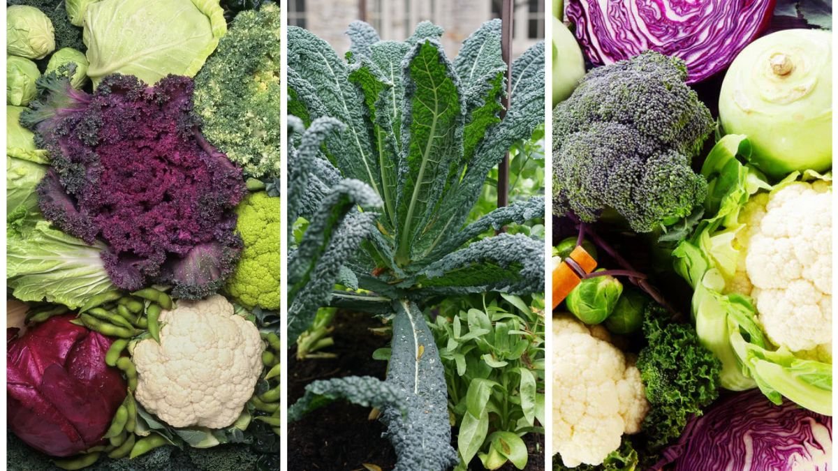 The Best Crops To Freeze For Winter Meals