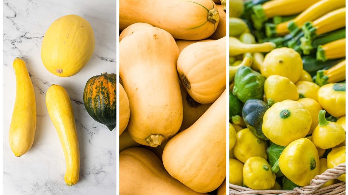 How To Store Squash So It Lasts Until Spring