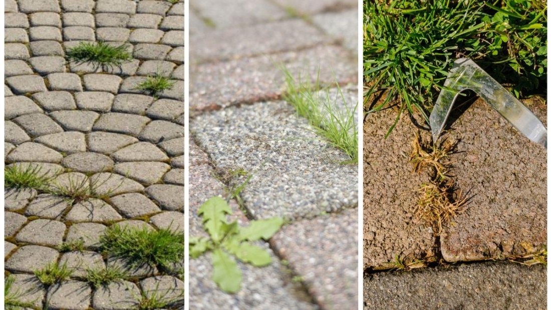 How To Keep Weeds From Growing Between Pavers