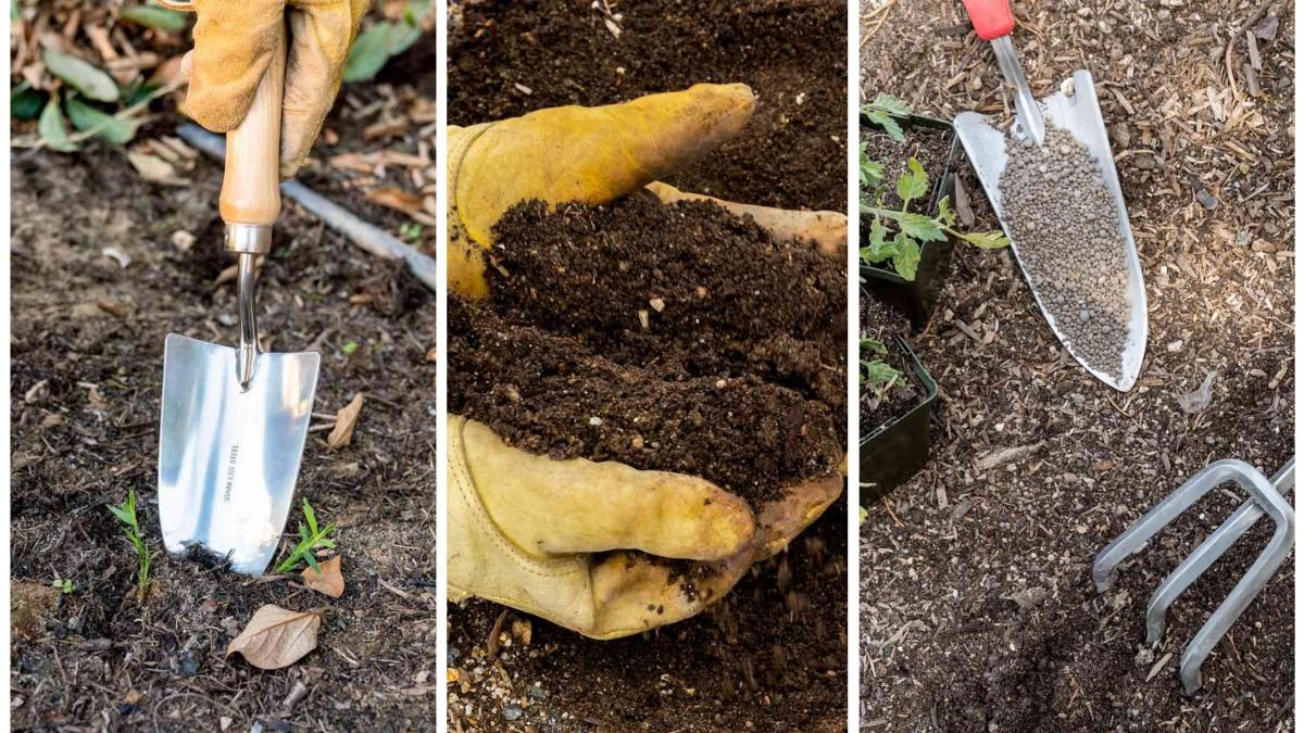 The Easiest Way To Balance Soil pH At Home