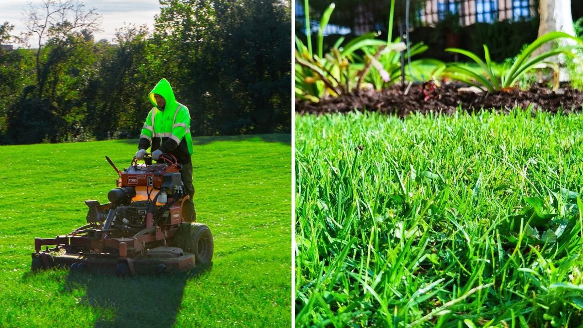 5 Lawn Care Tips for October Growth