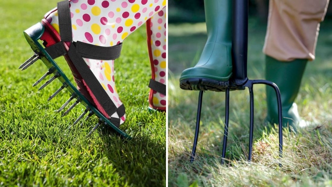 5 Simple Steps to Aerate Your Lawn