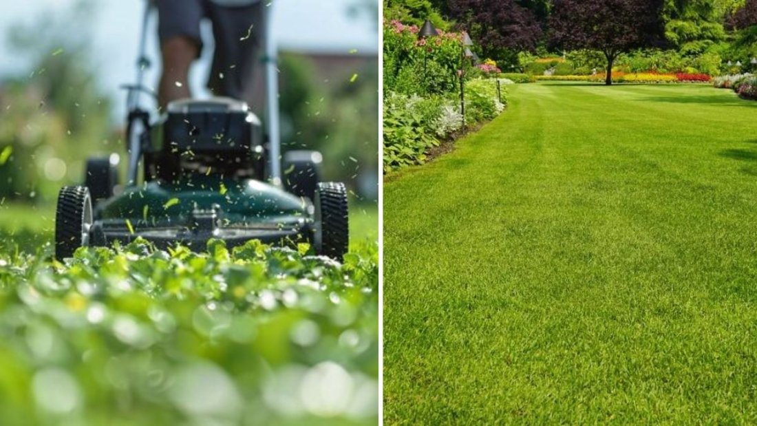 6 Lawn Care Mistakes to Avoid This Season
