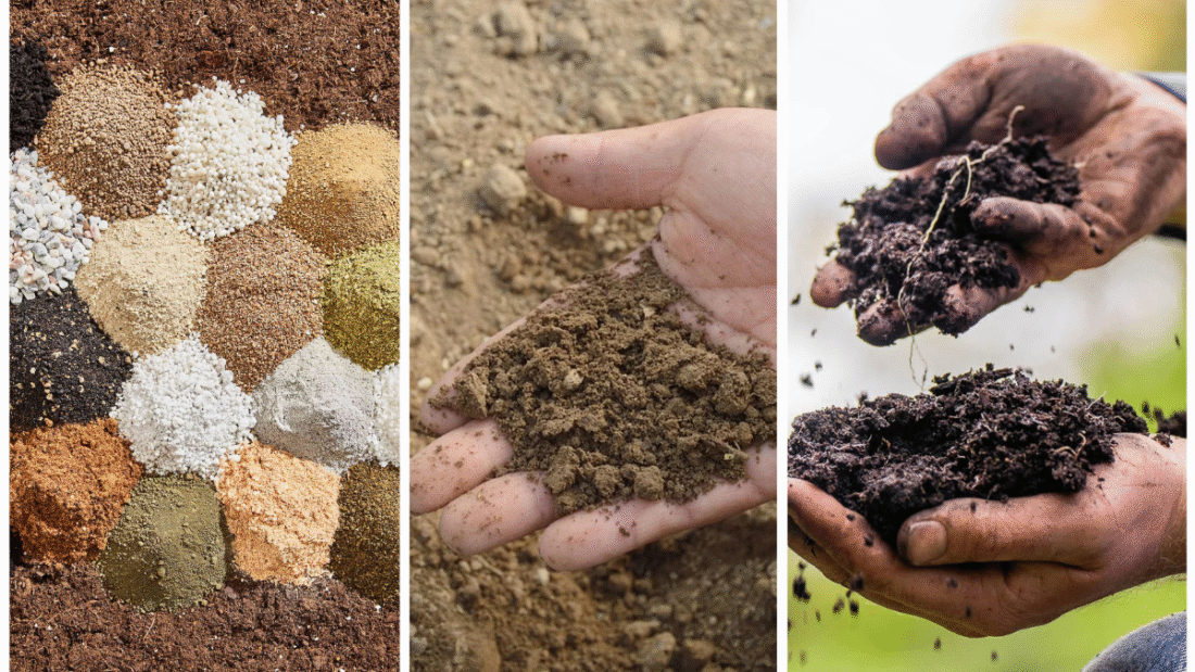 The Best Amendments To Add To Sandy Soil