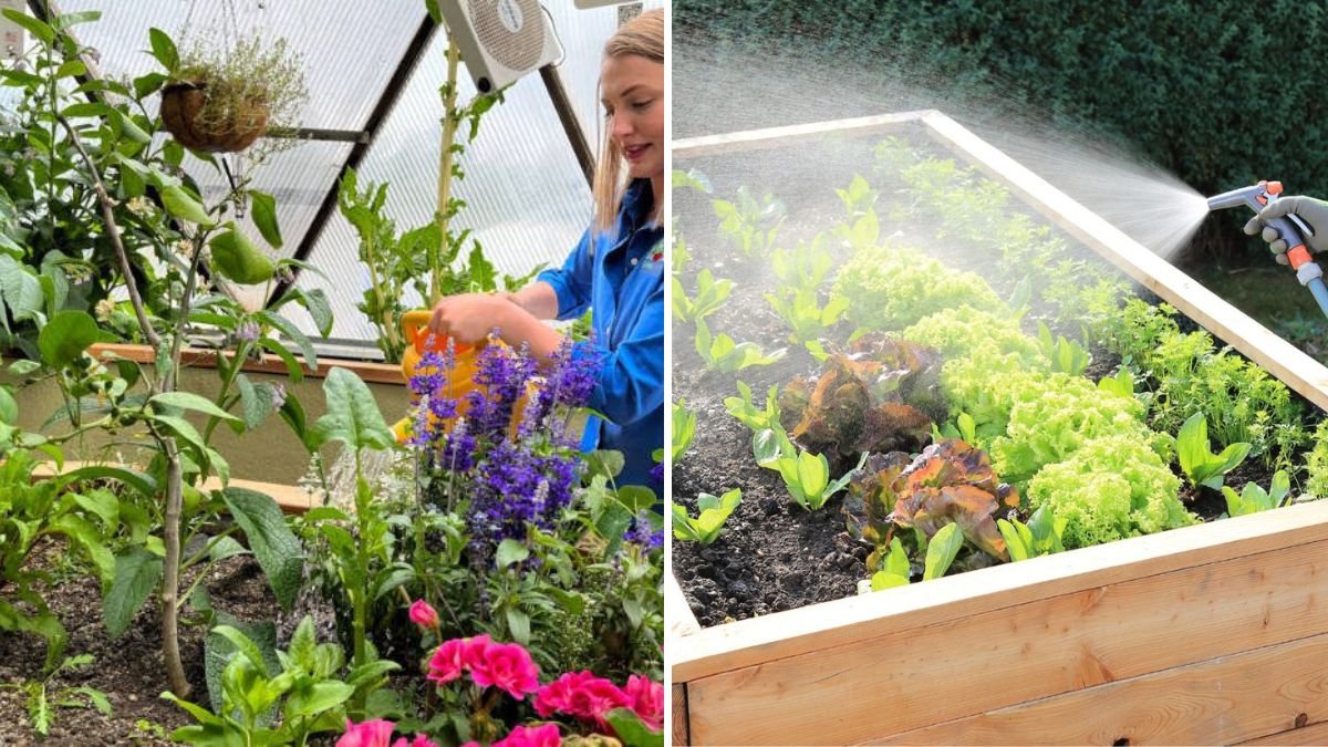 The Best Watering Schedule for Raised Bed Gardens