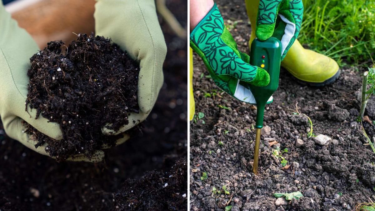 How to Test Your Garden Soil at Home Without a Kit