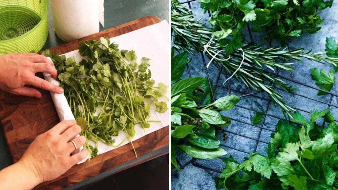 How to Store Fresh Herbs So They Last for Weeks