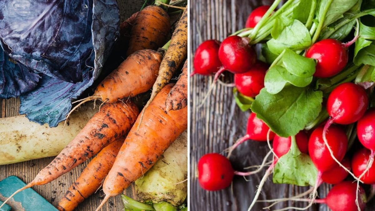 7 Vegetables That Can Survive Frost Without Damage