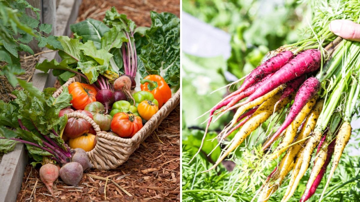 How to Store Your Fall Harvest to Last All Winter