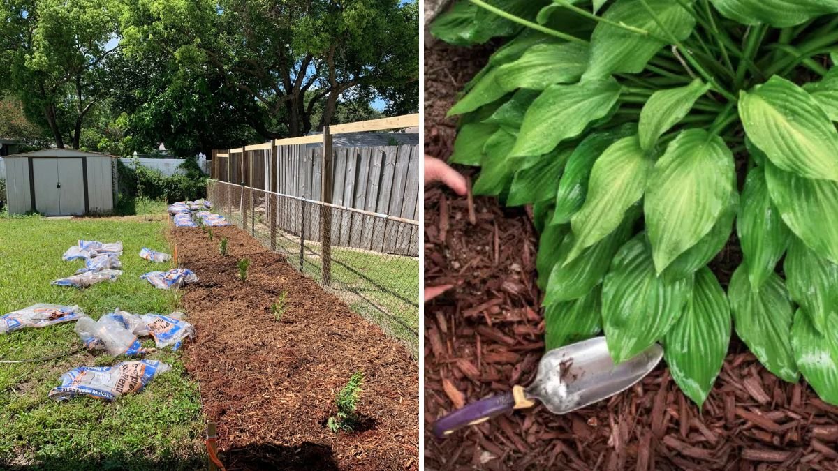 The Biggest Mistakes People Make With Mulching