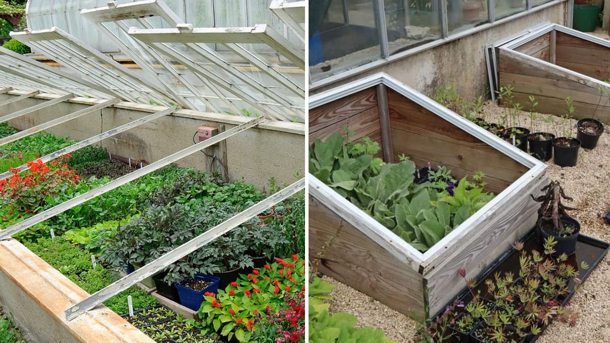 How to Extend Your Growing Season With Cold Frames