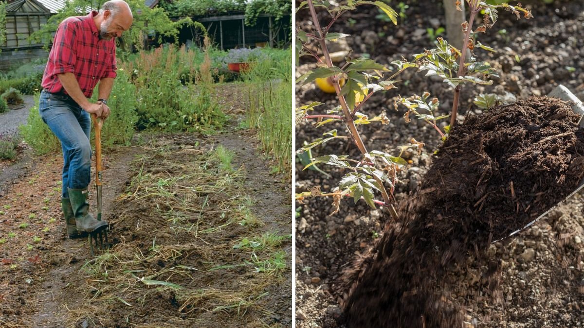 How to Improve Clay Soil for Vegetable Gardens