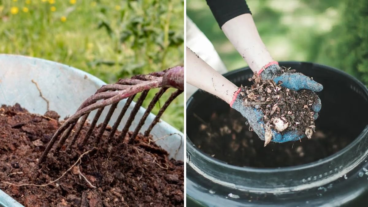 Why Composting Is the Secret to a Healthy Garden