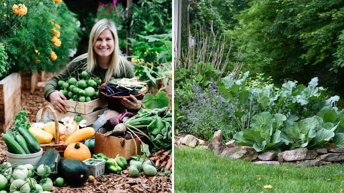 How to Grow Edible Flowers Alongside Vegetables
