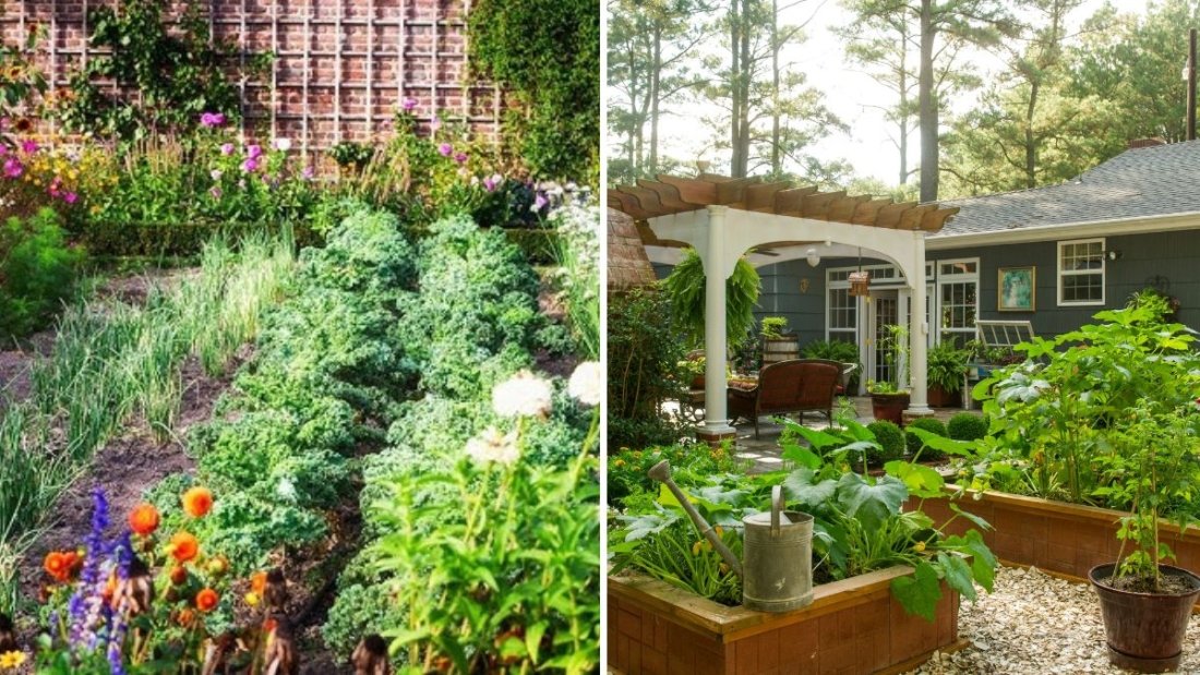 5-Step Guide to Starting a Raised Bed Garden